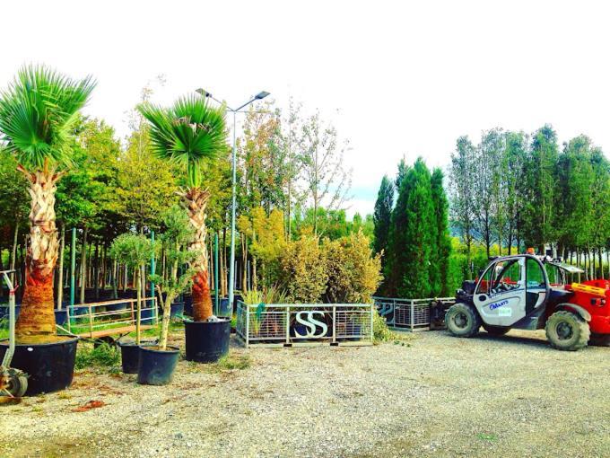 Serbesler Botanik, No 1 Comfortable Villa Sakarya  Exterior foto
